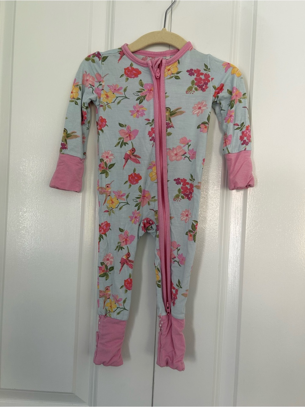 Angel Dear Hummingbird Haven bamboo zippy 0-3 months floral light blue and pink